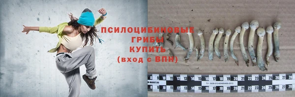 молекула духа Армянск