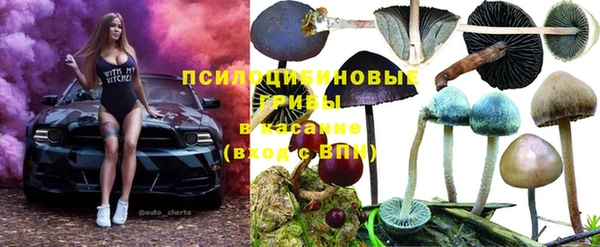 молекула духа Армянск