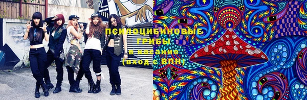 эйфоретик Аркадак